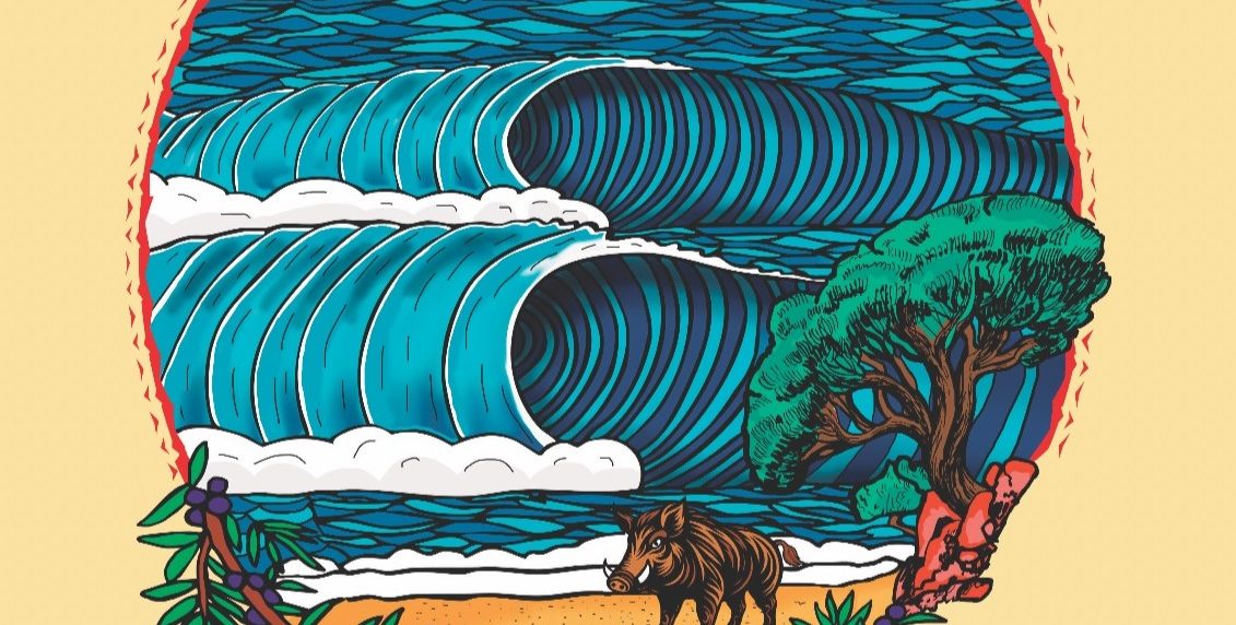 A giugno al via la stagione del surf tra le onde della Marinedda