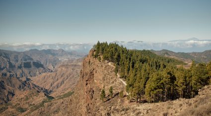 gran canaria walking festival