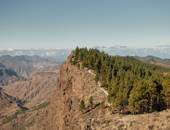 Gran Canaria Walking Festival