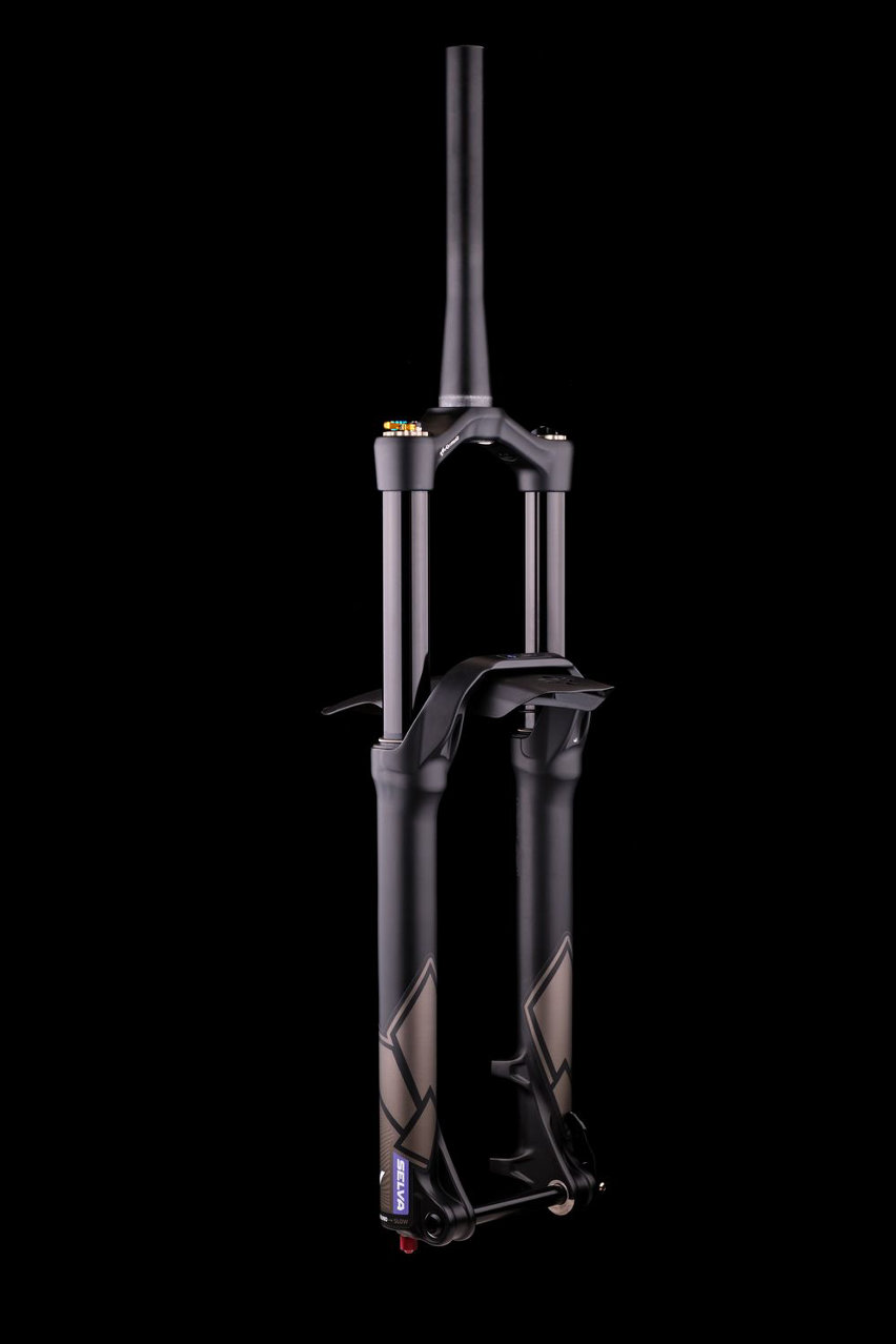 formula selva v - 09