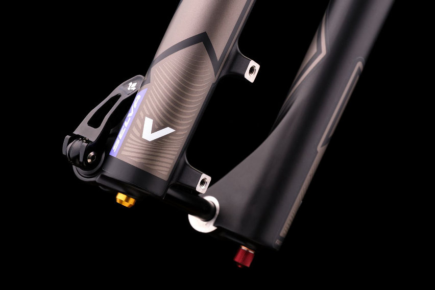 formula selva v - 11
