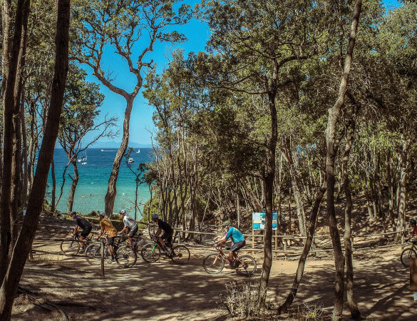 punta ala trail center su komoot - cover