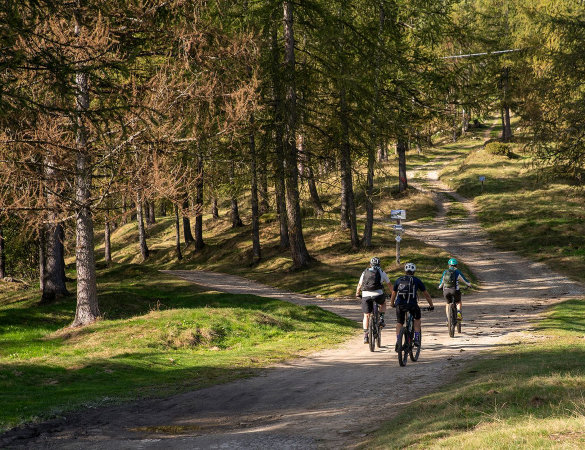 IMBA Gathering 2025: focus sul turismo ciclistico