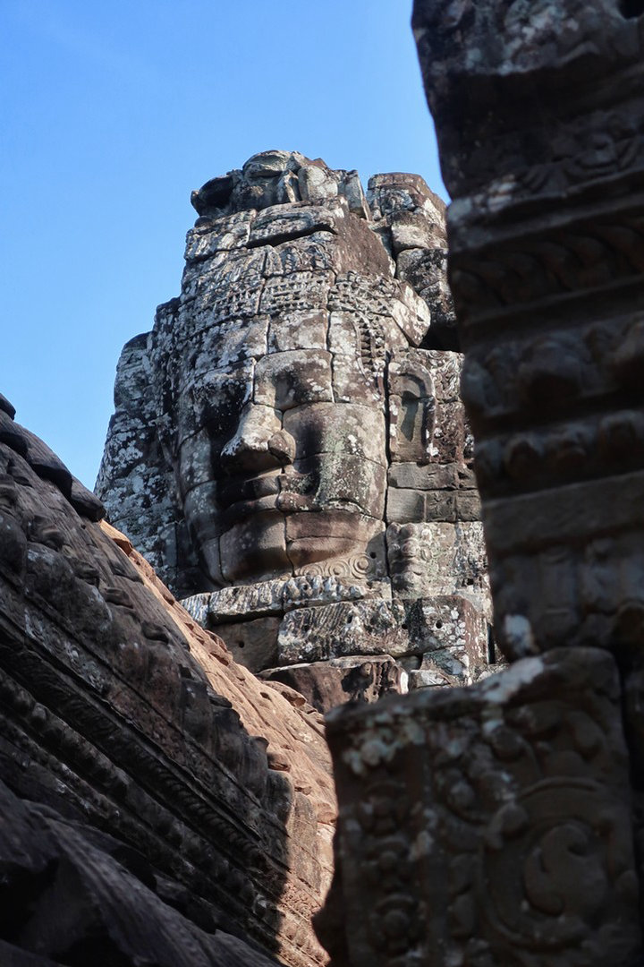 Cambogia-Dino-Bonelli