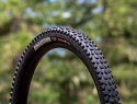 maxxis dissector ii - pneumatico mtb - cover