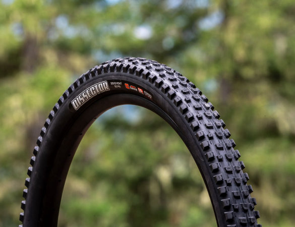 maxxis dissector ii - pneumatico mtb - cover
