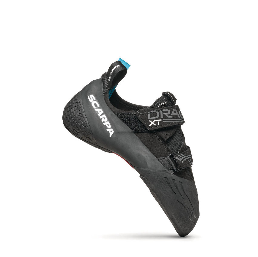 Scarpa