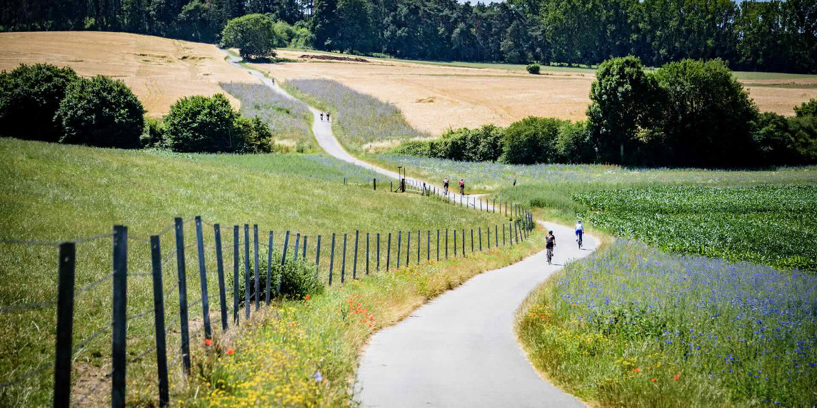 Nelle Fiandre, sulle tracce di Eddy e Sven