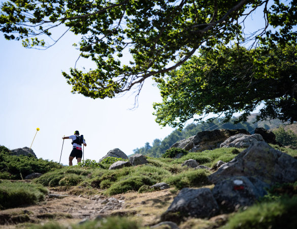 Da podisti a trail runner in 5 minuti