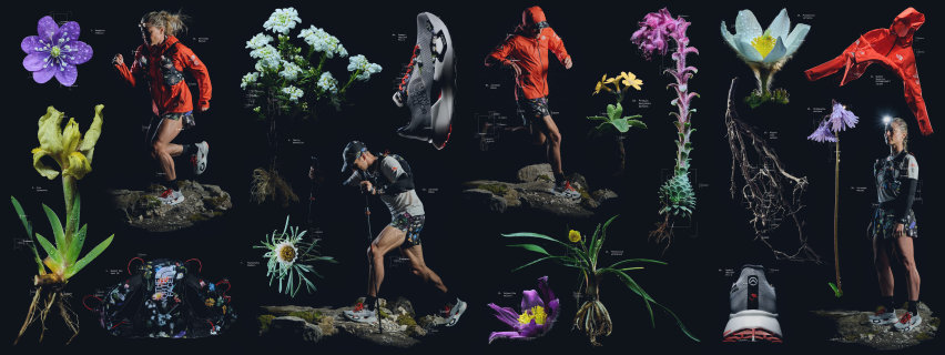 The North Face