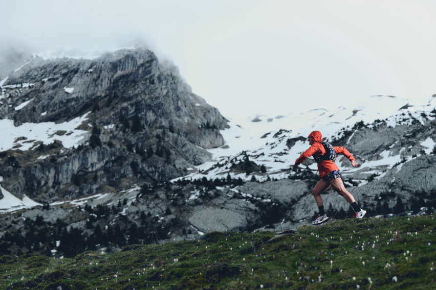The North Fasce Summit Series flora alpina