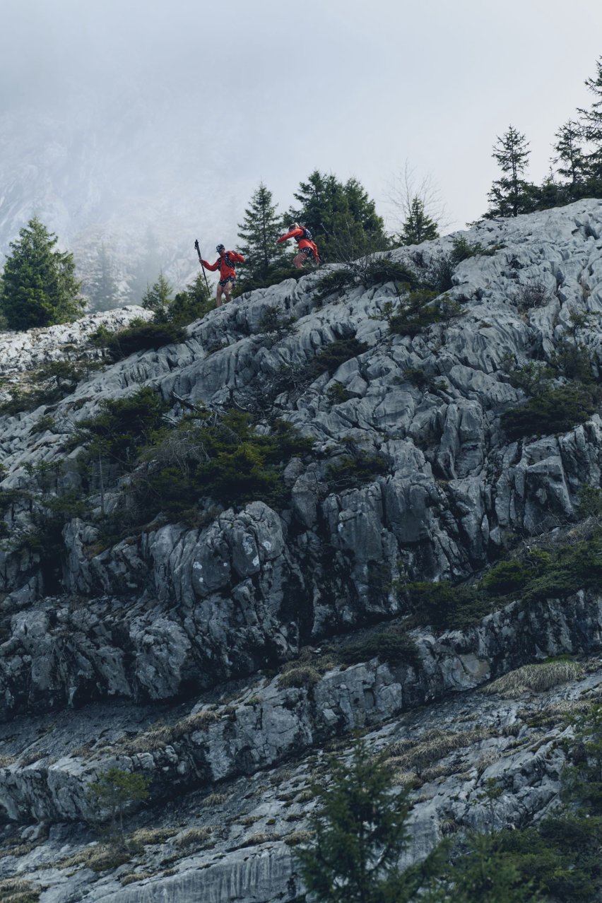 The North Fasce Summit Series flora alpina