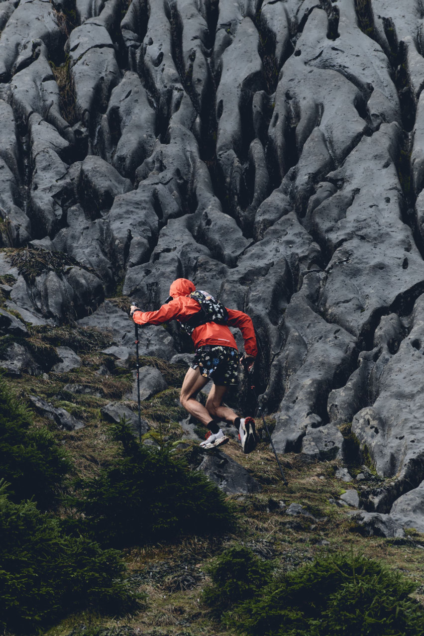 The North Fasce Summit Series flora alpina
