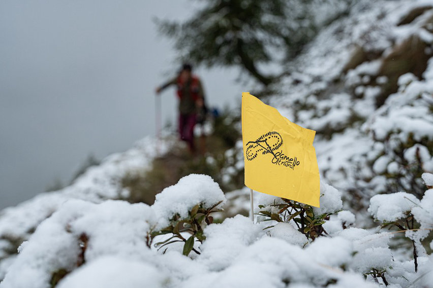 Adamello Ultra Trail