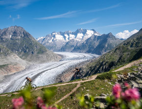 Vallese in MTB - Aletsch Arena - cover