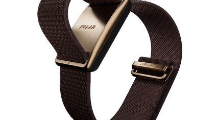 Polar Loop