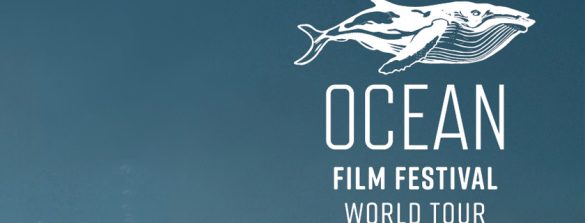 ocean film festival