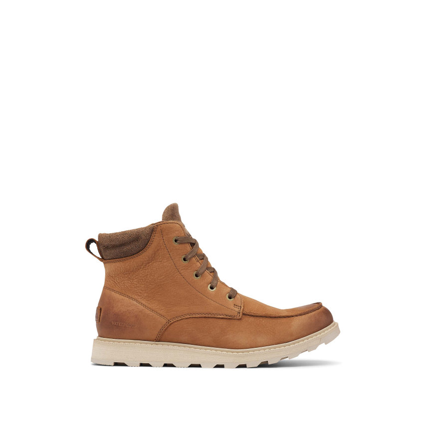 Sorel