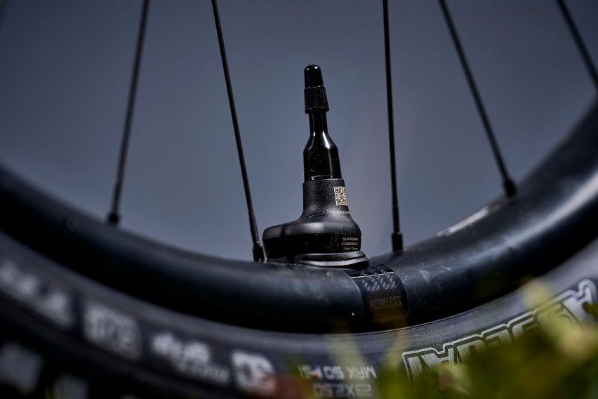 giant reign advanced e+ my26 - aegis tire checker