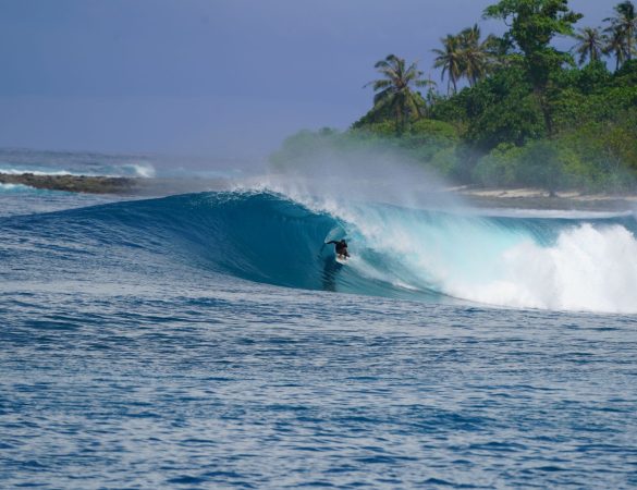 Out of Office – Mentawai, a caccia dell’immaginario