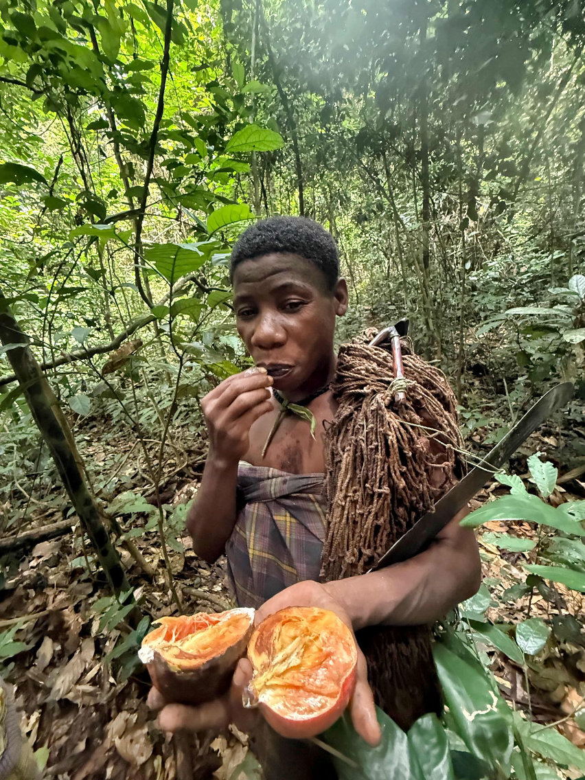 Repubblica Centrafricana - Bonelli