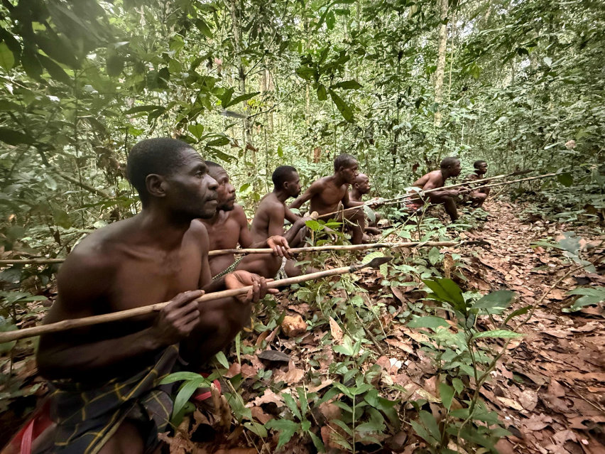 Repubblica Centrafricana - Bonelli