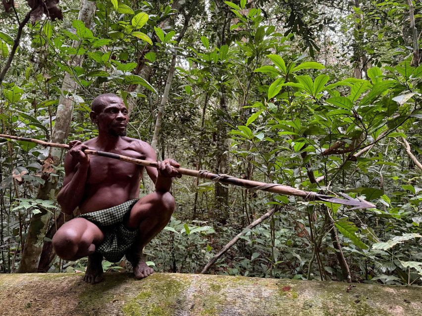Repubblica Centrafricana - Bonelli