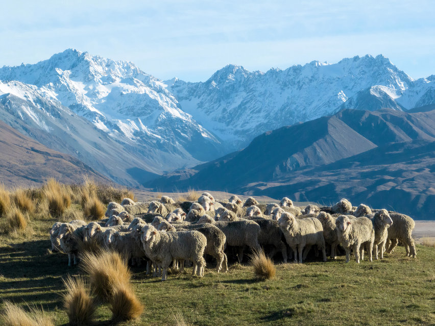 Store Icebreaker Milano Orefici 11