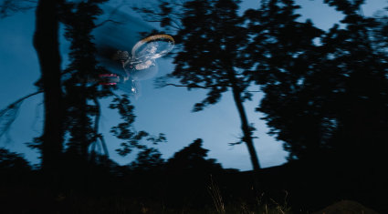 Fox Lunar Collection Fall 2025 - cover