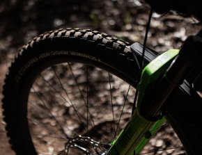 schwalbe magic mary radial - test pneumatico mtb - cover