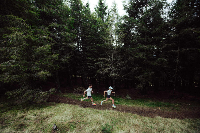 Saucony Peregrine 16