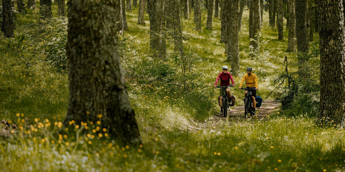 Bosch celebra la Giornata Mondiale della Montagna