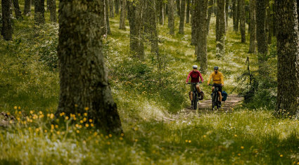 bosch ebike systems - giornata mondiale della montagna - cover