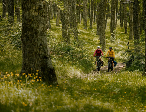 Bosch celebra la Giornata Mondiale della Montagna
