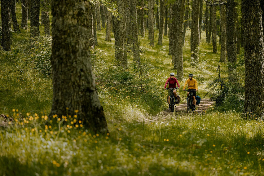 bosch ebike systems - giornata mondiale della montagna - cover