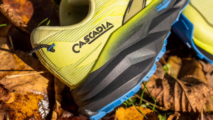 Brooks Cascadia 19
