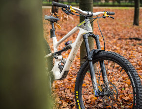 formula selva v - short test - cover