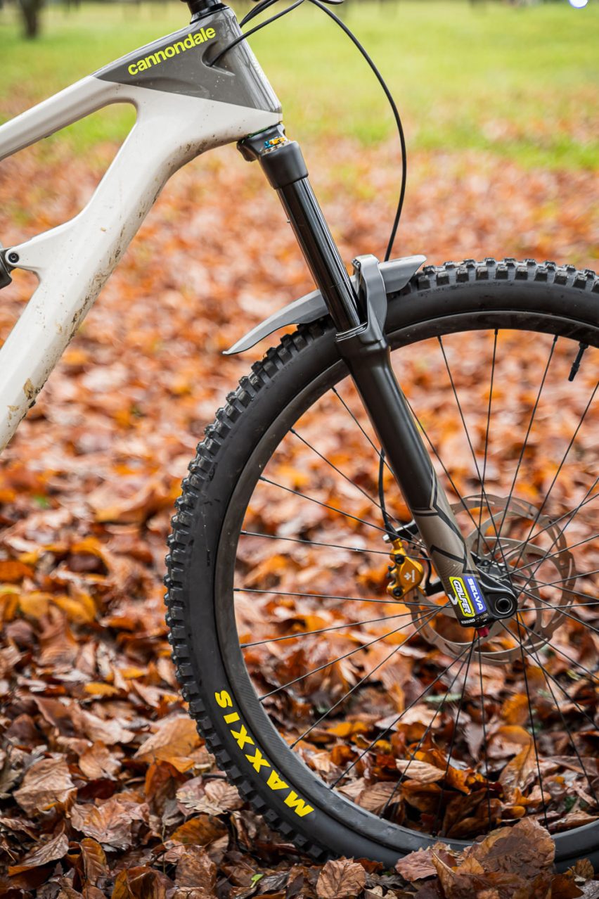 formula selva v - short test - 08