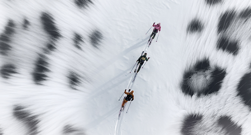 Snow Leopard Day: i trail runner entrano in scena