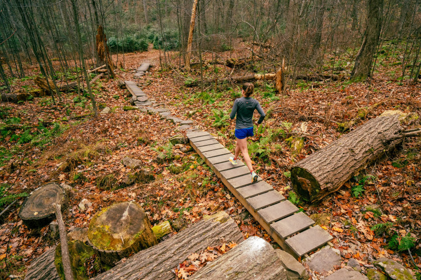 03.12 - Rothrock by UTMB