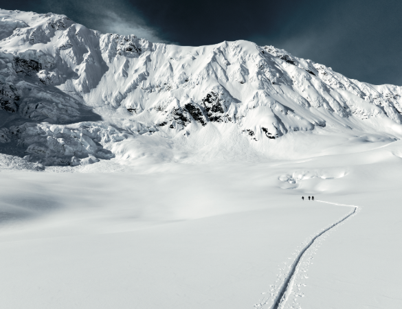 Patagonia presenta una serie di cortometraggiche celebrano la gioia di vivere la neve