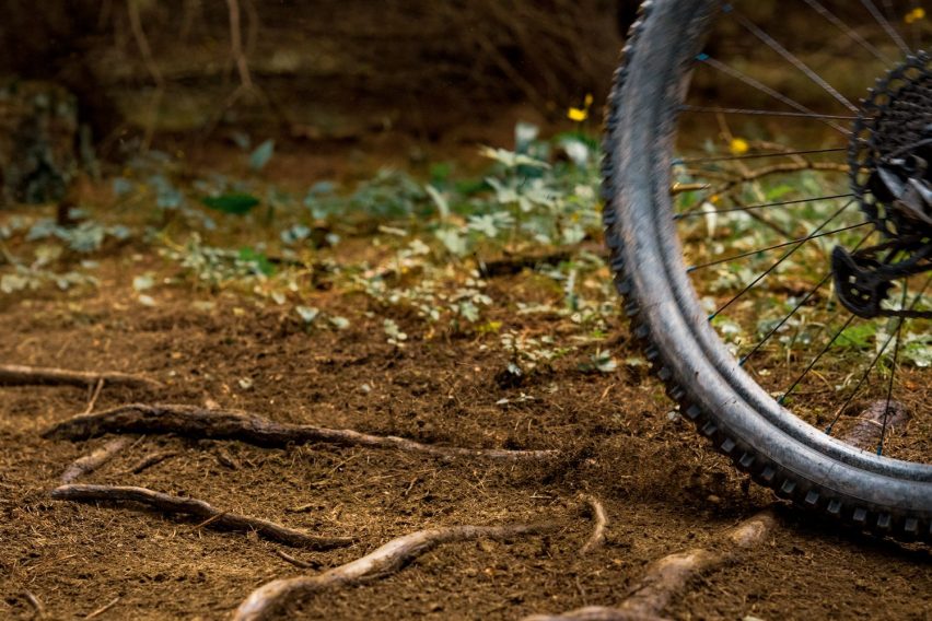 Ruota MTB su radici esposte in sentiero boschivo tecnico, con fiori gialli e terreno irregolare
