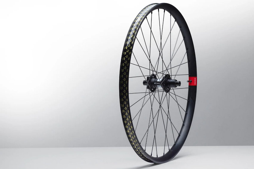 dt swiss degrees of freedom e reserve wheels - cover