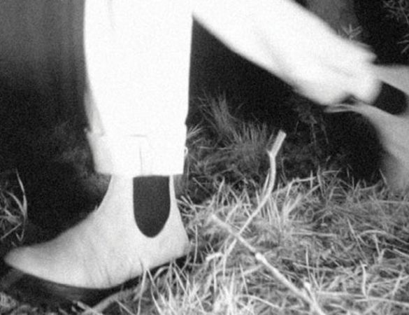 Seattle per Tasmania. Filson chiama Blundstone risponde