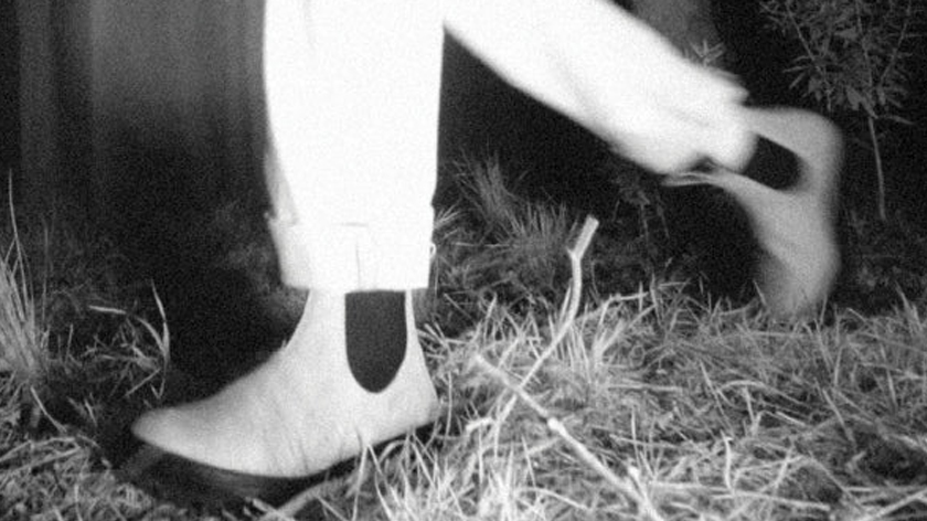 Seattle per Tasmania. Filson chiama Blundstone risponde