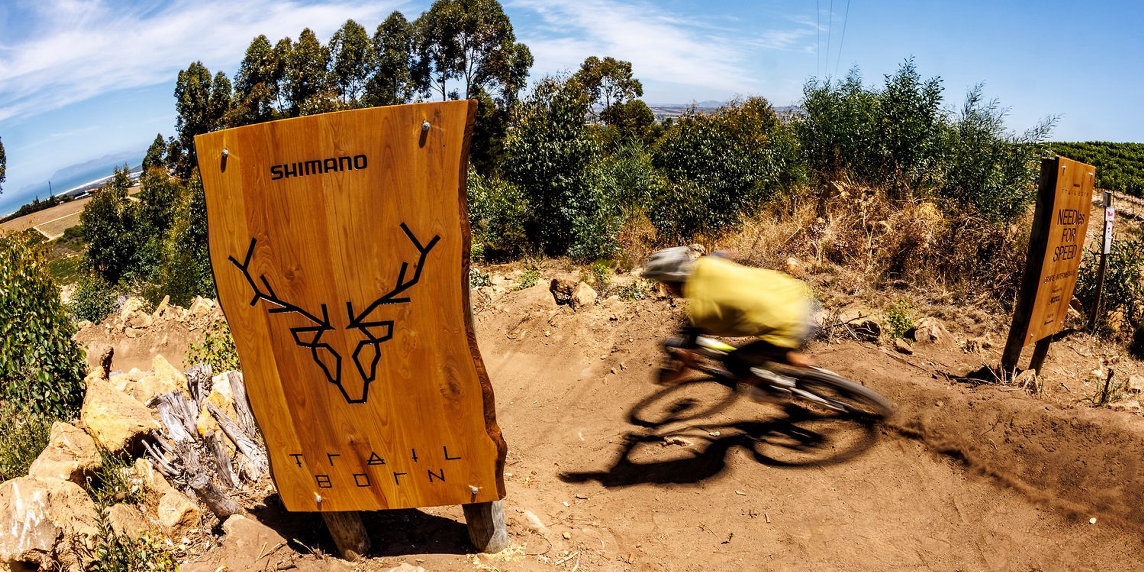 Shimano amplia Trail Born: 21 nuovi progetti nel 2026