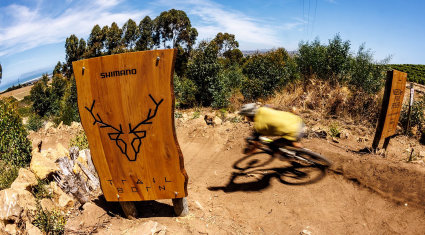 Shimano Trail Born 2026 - cover