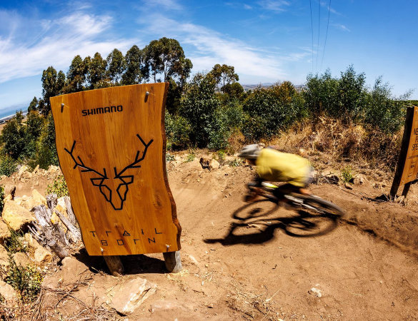 Shimano Trail Born 2026 - cover