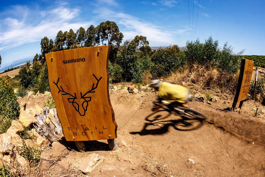 Shimano Trail Born 2026 - cover