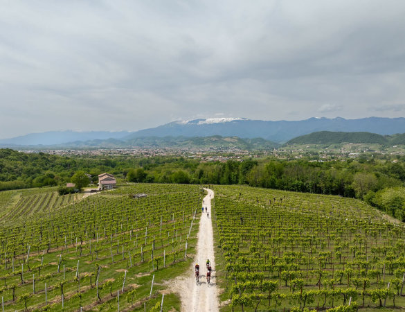 Le colline del Prosecco epicentro del Gravel